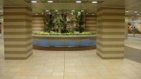 DSC00330.JPG